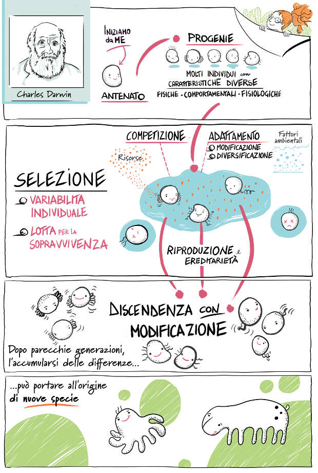 evoluzione_darwin-bellone-puggioni