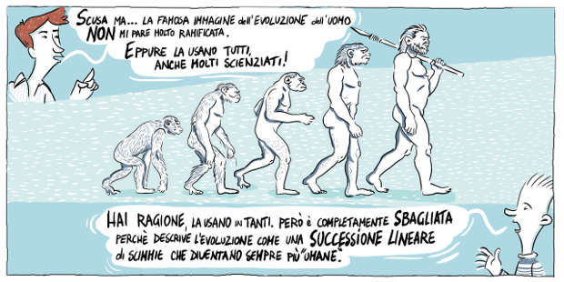 evoluzione_uomo-bellone-puggioni