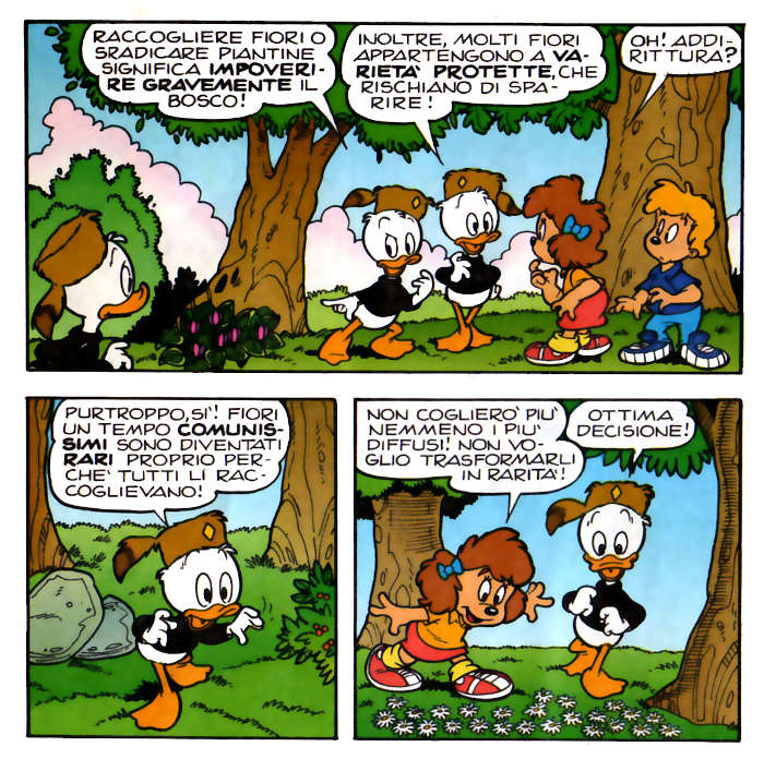 bosco_per_amico_gm_fiori