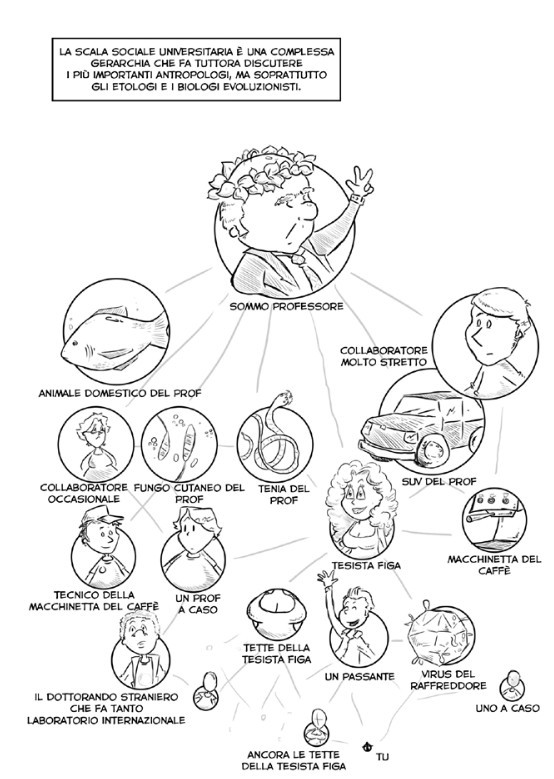 duckbill-scala_sociale_universita