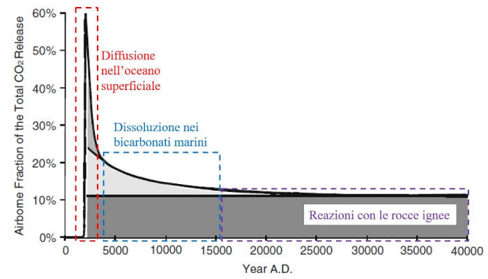 assorbimento_naturale_anidride_carbonica