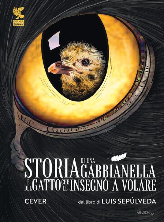 La gabbianella e il gatto, la storia di Luis Sepulveda: trama del libro e  film