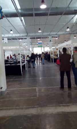 collezionando_2016_1