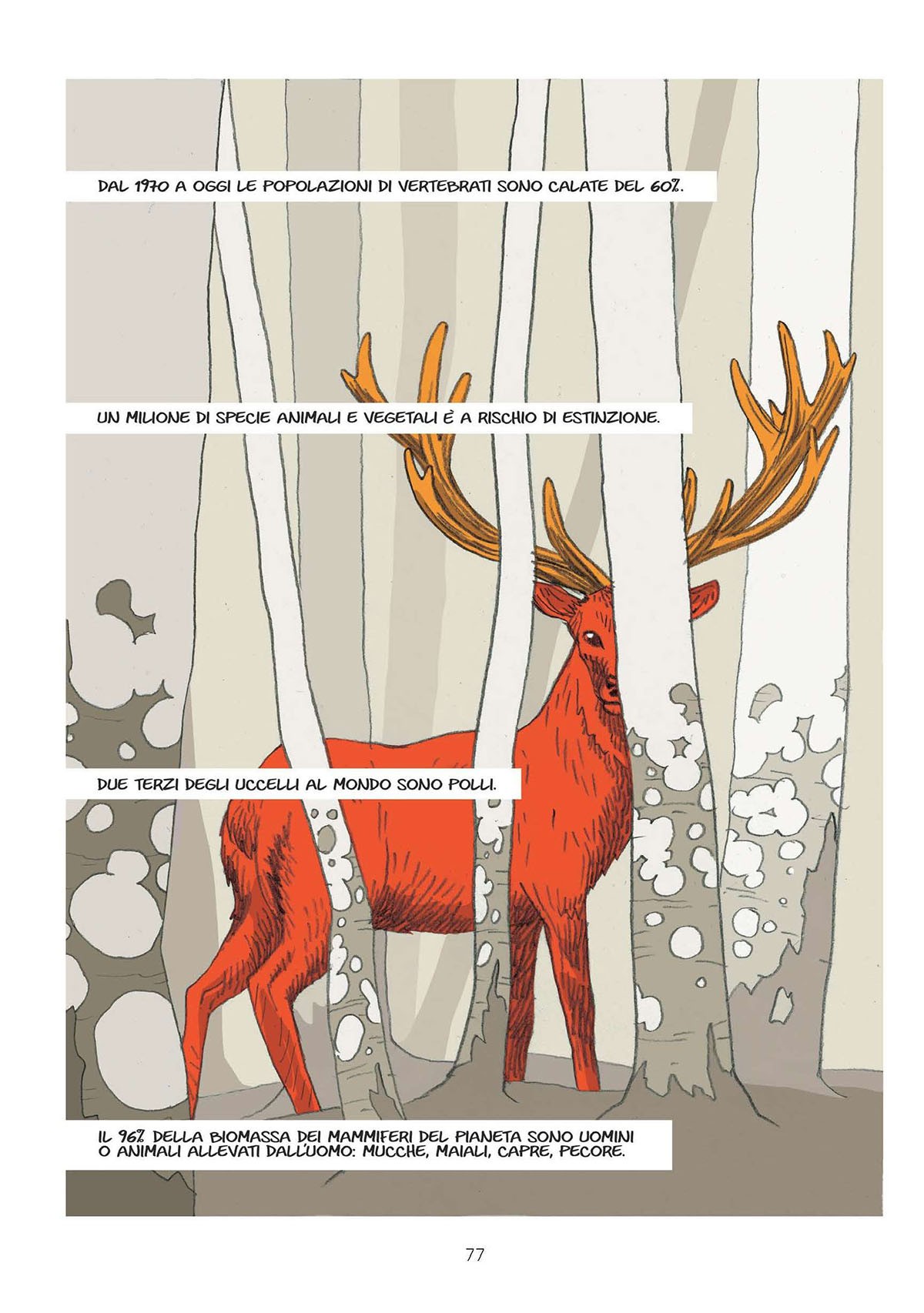 11. grossi la grande rimozione 77